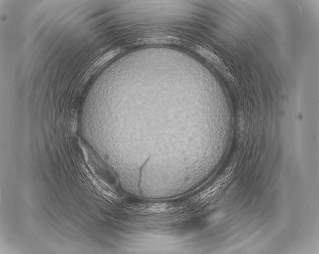 X0000059840841200511111742