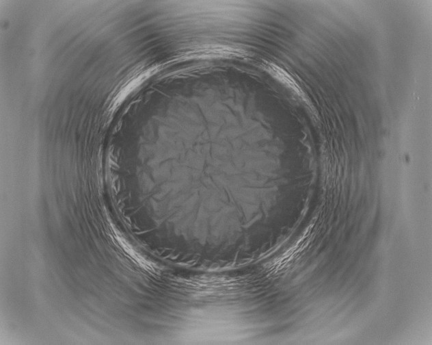 X0000059840842200511111742