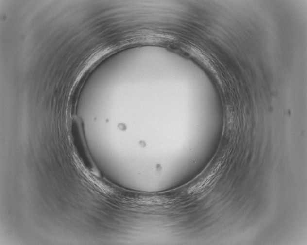 X0000059840843200511111742