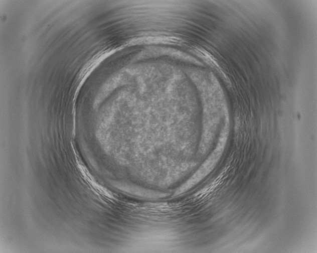 X0000059840844200511111742