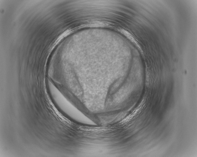 X0000059840845200511111742