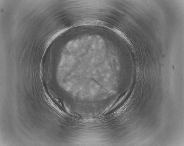 X0000059840846200511111742