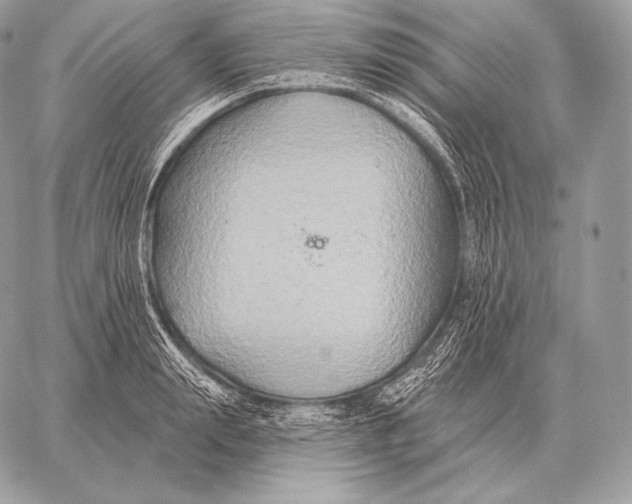 X0000059840847200511111743