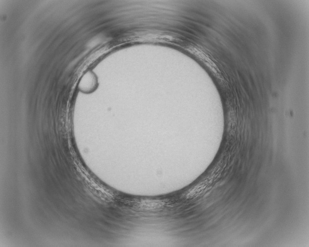 X0000059840848200511111743