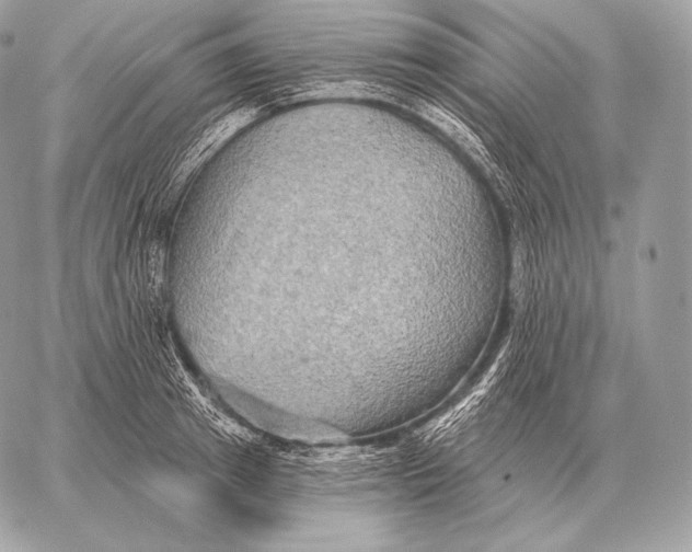 X0000059840849200511111743