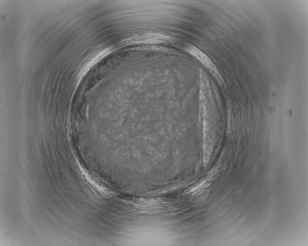 X0000059840850200511111743