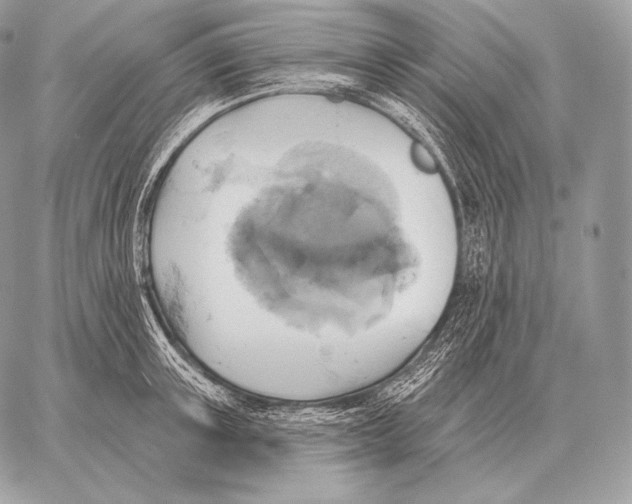 X0000059840851200511111743