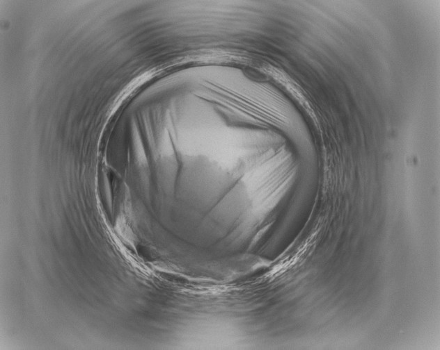 X0000059840853200511111743