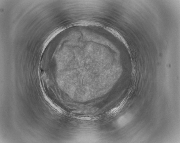 X0000059840855200511111743