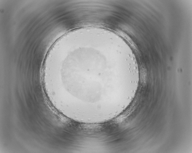 X0000059840856200511111743