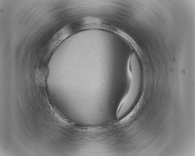 X0000059840857200511111743