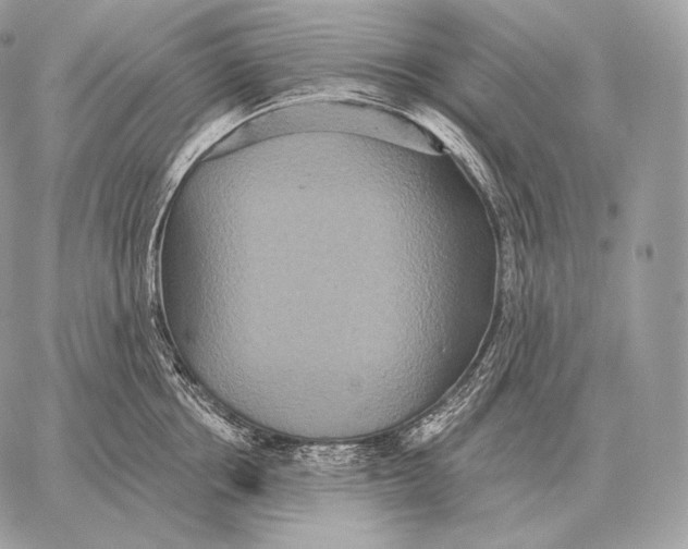 X0000059840858200511111743