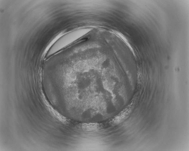 X0000059840859200511111743