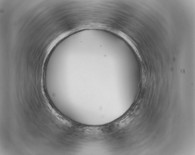 X0000059840861200511111743