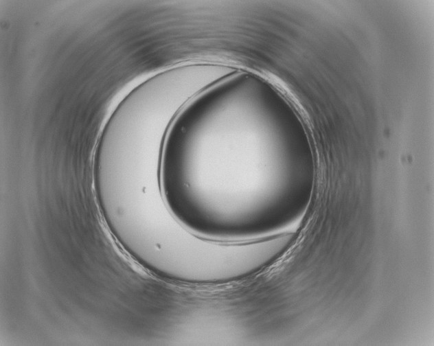 X0000059840862200511111743