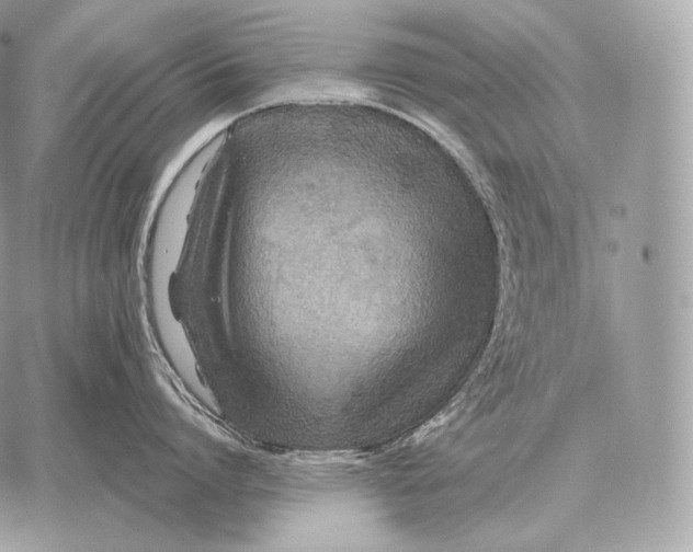 X0000059840864200511111743