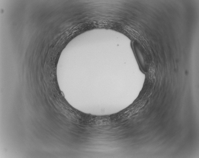 X0000059840865200511111742