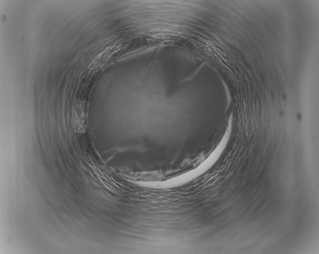 X0000059840868200511111742