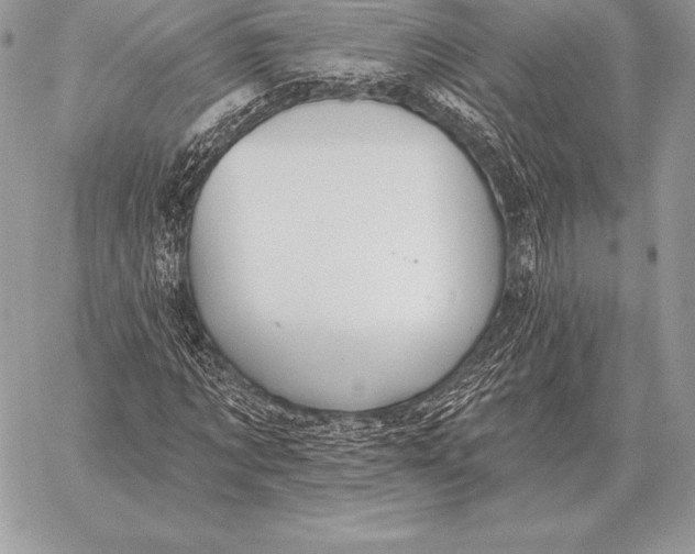 X0000059840869200511111742