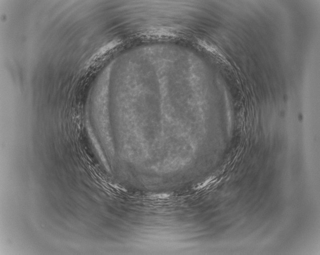 X0000059840870200511111742