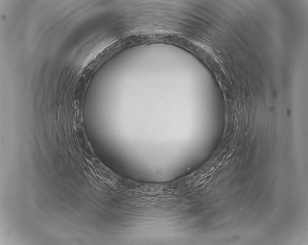 X0000059840871200511111742