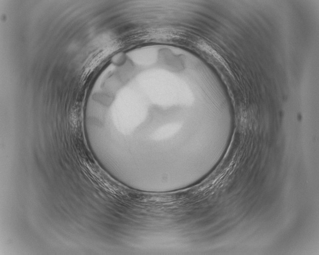 X0000059840874200511111742