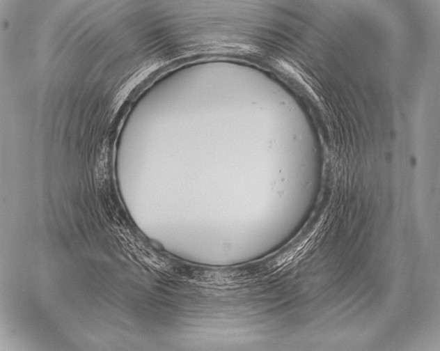 X0000059840875200511111742