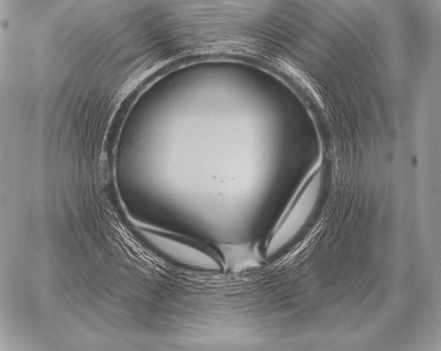 X0000059840876200511111742