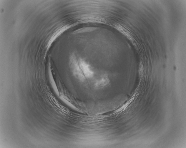 X0000059840877200511111742