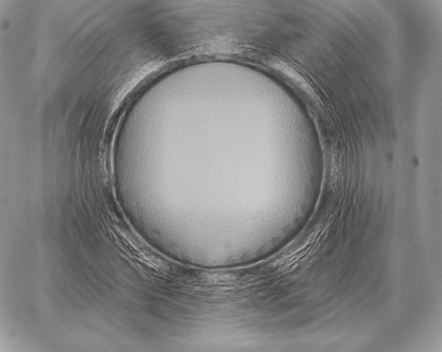 X0000059840878200511111742