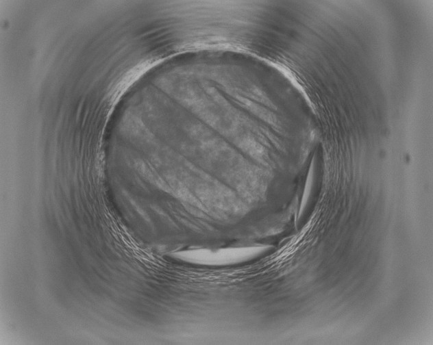 X0000059840879200511111742