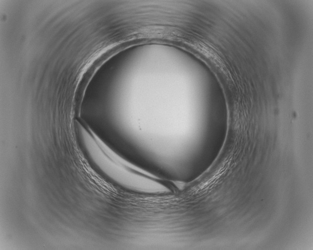 X0000059840880200511111742