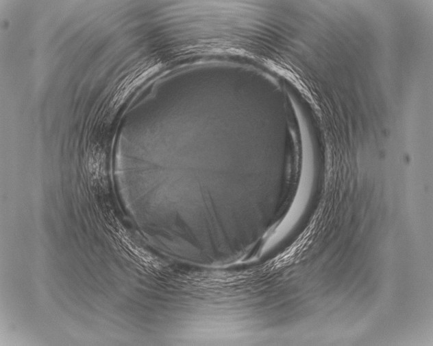 X0000059840881200511111742