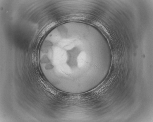 X0000059840882200511111742