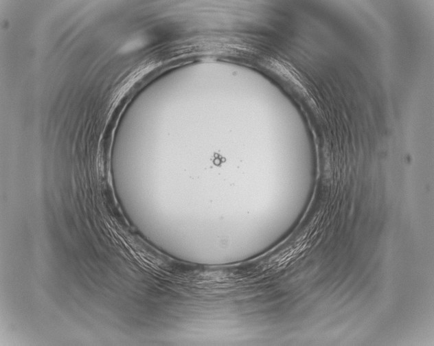 X0000059840883200511111742