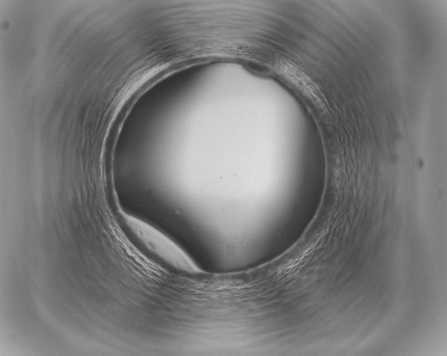 X0000059840884200511111742