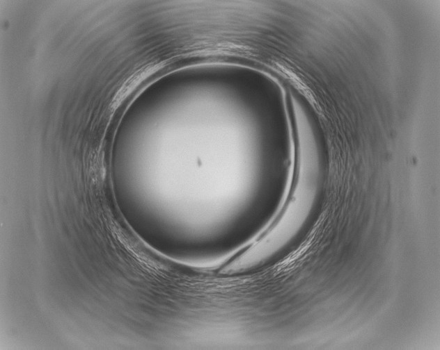 X0000059840885200511111742