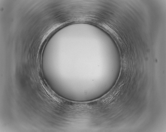 X0000059840886200511111742