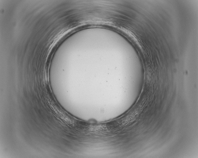 X0000059840887200511111742