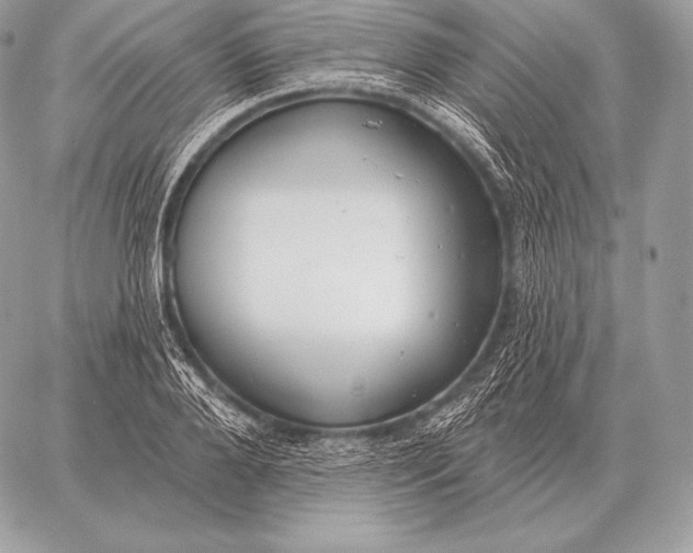 X0000059840888200511111742