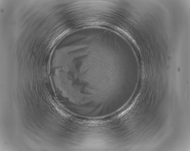 X0000059840889200511111742