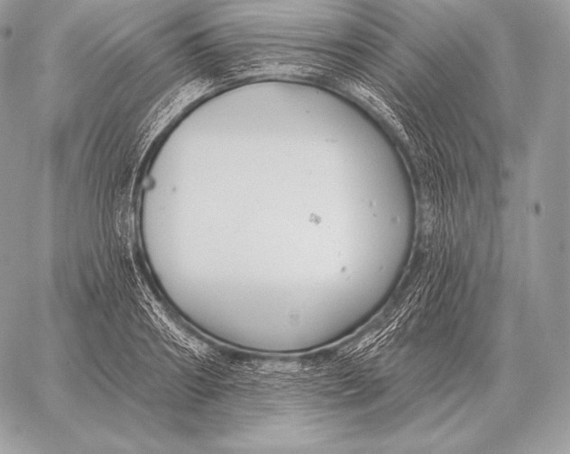 X0000059840890200511111742