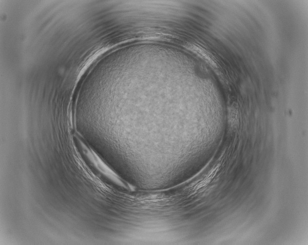 X0000059840891200511111742