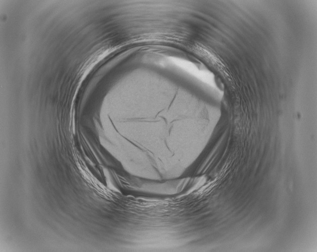 X0000059840892200511111742