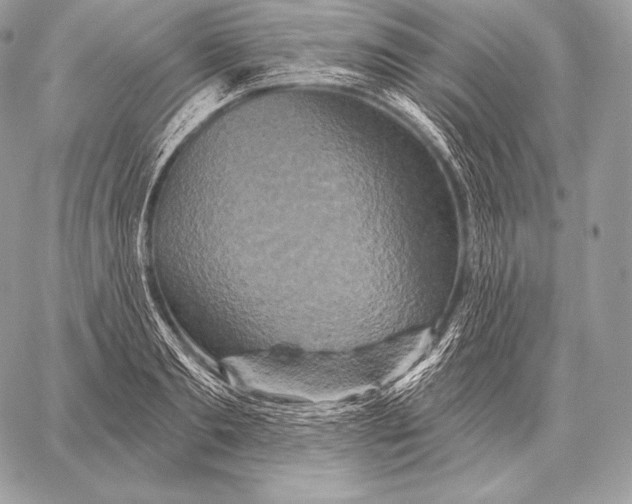 X0000059840893200511111742