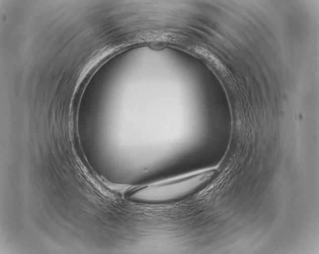 X0000059840894200511111742