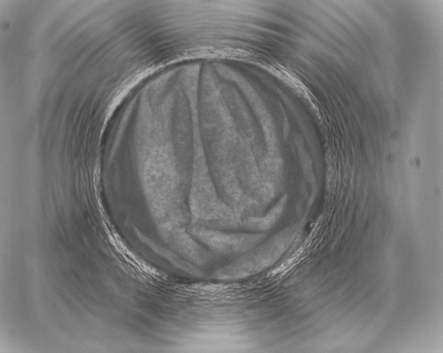 X0000059840896200511111741