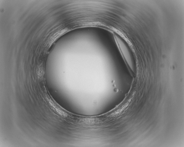 X0000059840897200511111741