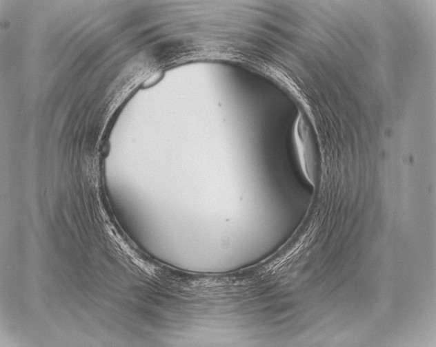 X0000059840898200511111741