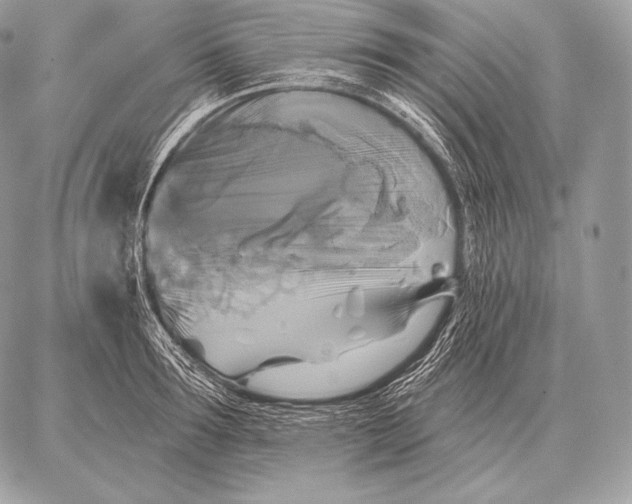 X0000059840899200511111741